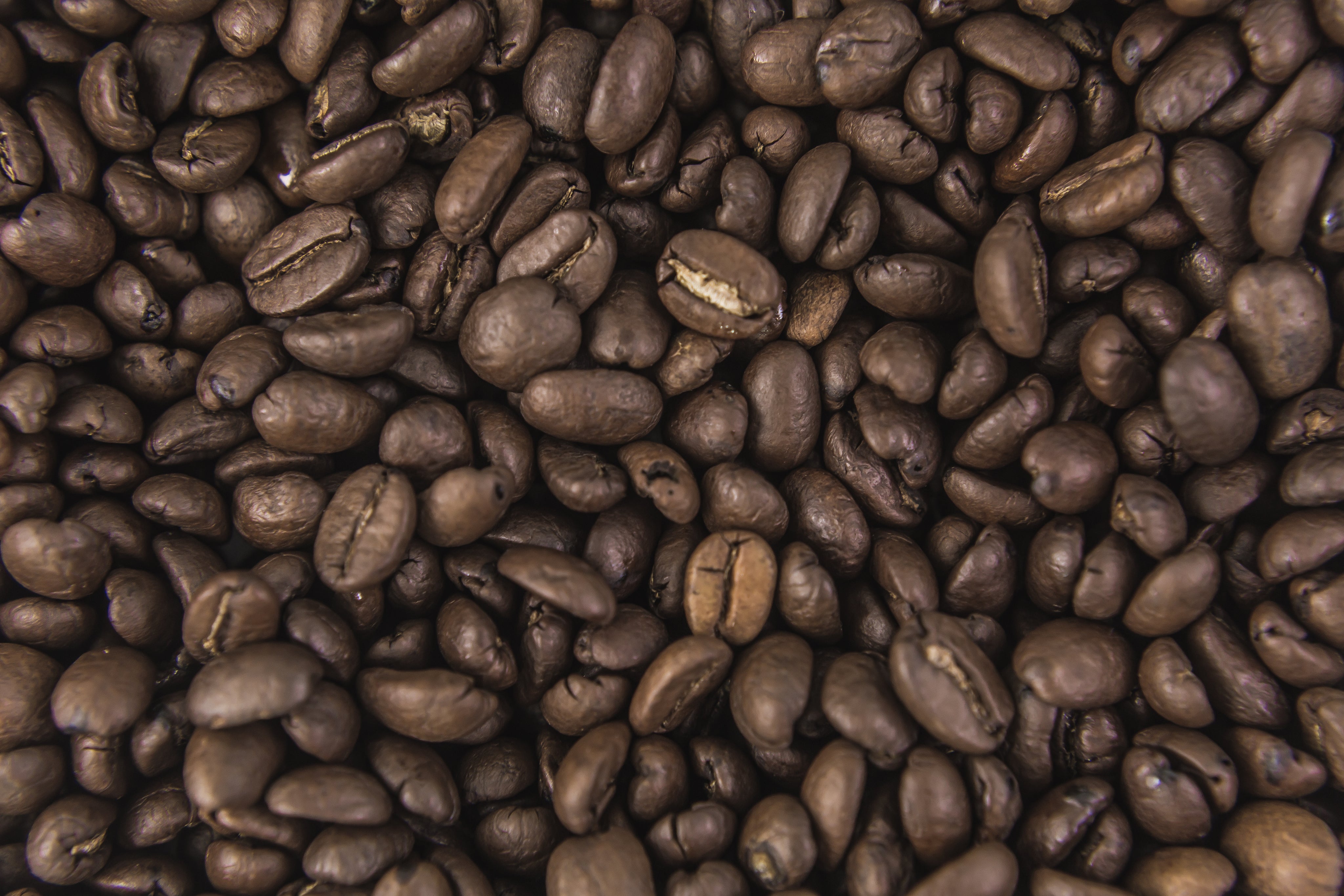 Close-up of dark roasted coffee beans used in Tieman's Fusion Coffee low acid performance blends